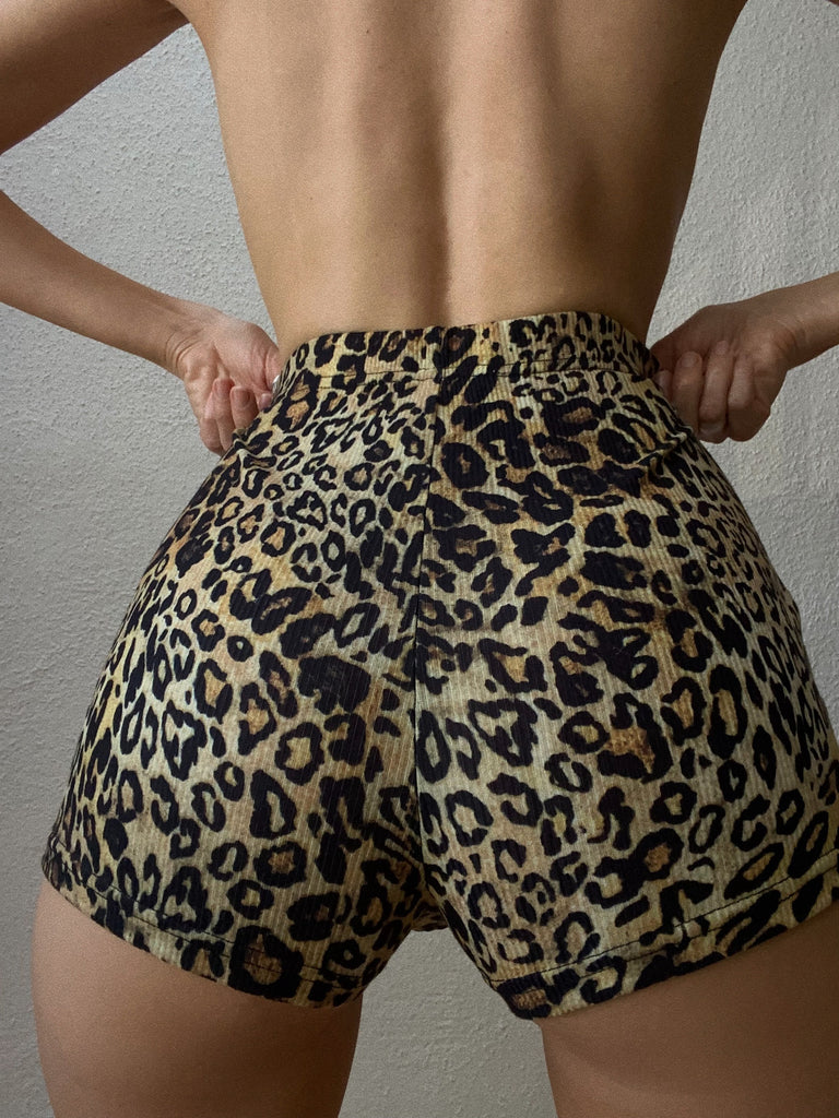 Leopard Ribbed Shorts