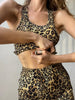 Leopard Ribbed Shorts